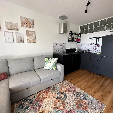Apartment Kleine Perle Mit Bodenseeblick Und Sonnenterrasse