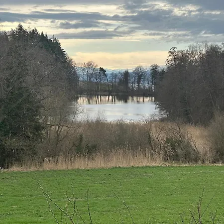 Kleine Perle Mit Bodenseeblick Und Sonnenterrasse * Daisendorf