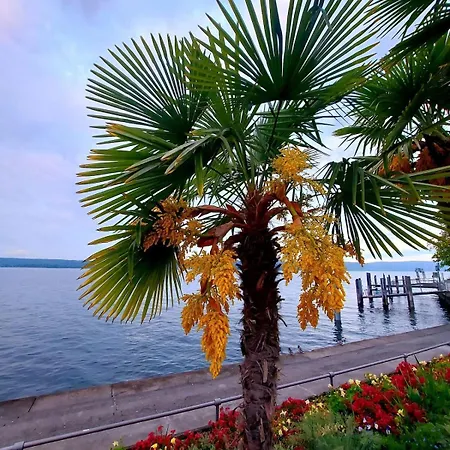 Kleine Perle Mit Bodenseeblick Und Sonnenterrasse *