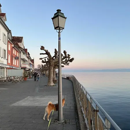 Kleine Perle Mit Bodenseeblick Und Sonnenterrasse شقة دايزندورف