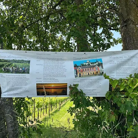 Kleine Perle Mit Bodenseeblick Und Sonnenterrasse * Daisendorf
