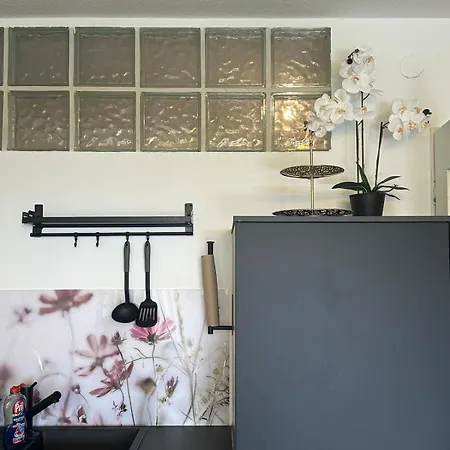 Apartment Kleine Perle Mit Bodenseeblick Und Sonnenterrasse