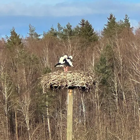 Апартаменты Kleine Perle Mit Bodenseeblick Und Sonnenterrasse Дайзендорф