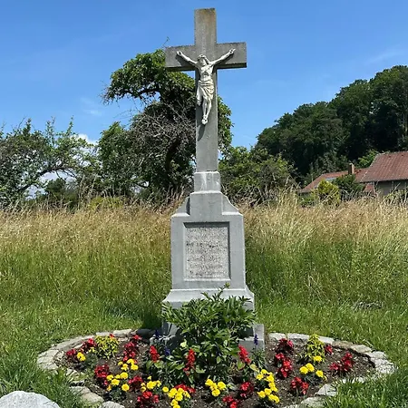 Kleine Perle Mit Bodenseeblick Und Sonnenterrasse * Дайзендорф