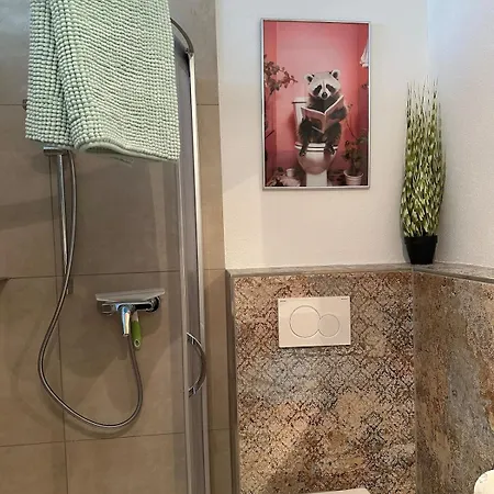 Kleine Perle Mit Bodenseeblick Und Sonnenterrasse * Дайзендорф