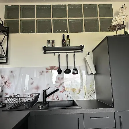شقة Kleine Perle Mit Bodenseeblick Und Sonnenterrasse دايزندورف