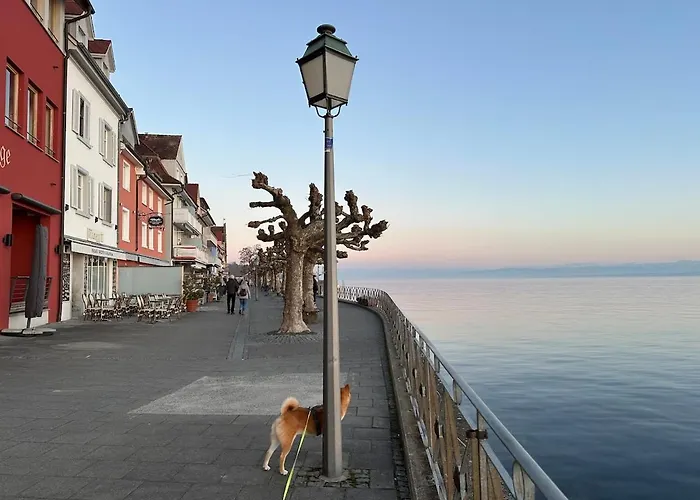 Kleine Perle Mit Bodenseeblick Und Sonnenterrasse アパート Daisendorf