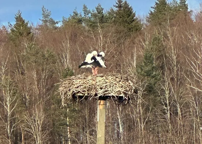 アパート Kleine Perle Mit Bodenseeblick Und Sonnenterrasse Daisendorf
