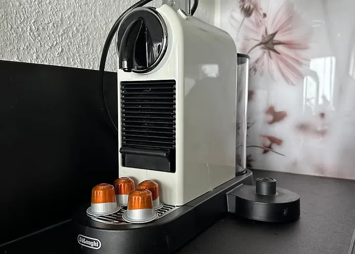 Kleine Perle Mit Bodenseeblick Und Sonnenterrasse * Daisendorf